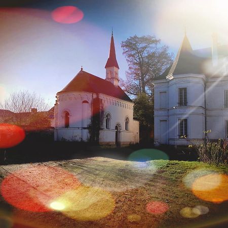 Chateau De Basche Assay Exteriér fotografie