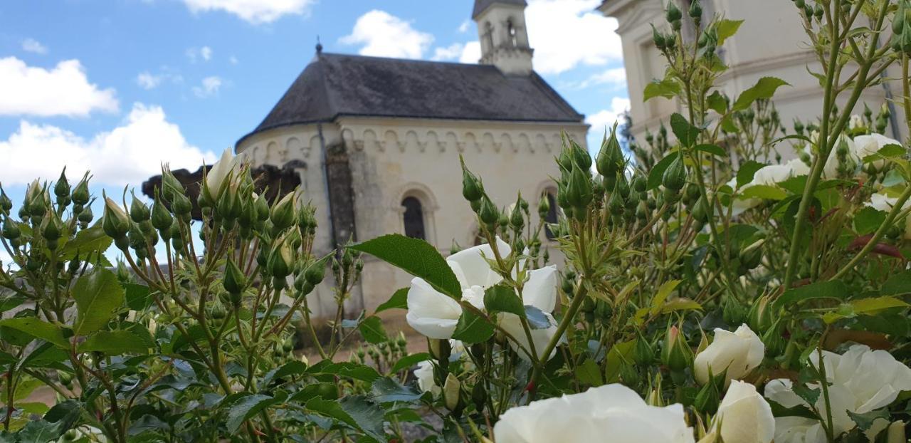Chateau De Basche Assay Exteriér fotografie